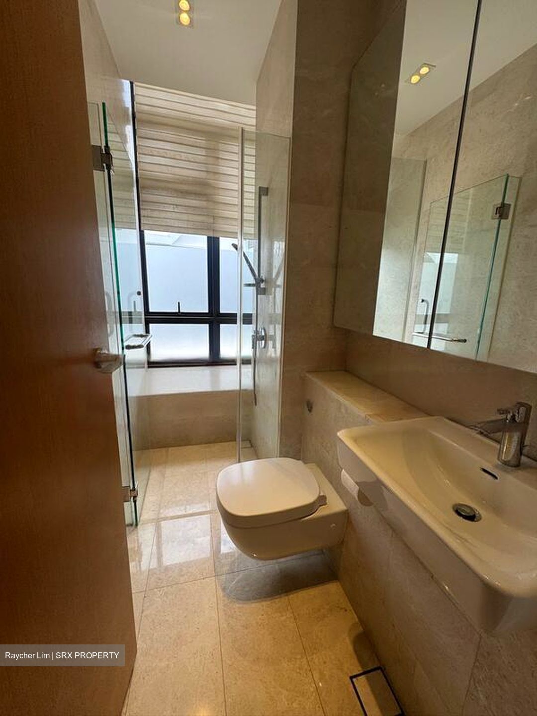 Trilight (D11), Condominium #474382361